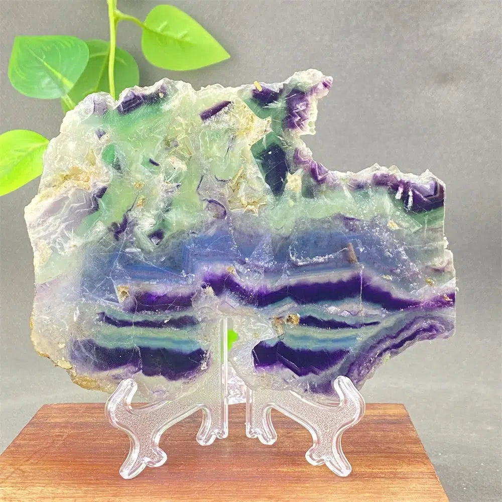 Rainbow Fluorite Crystal Slices