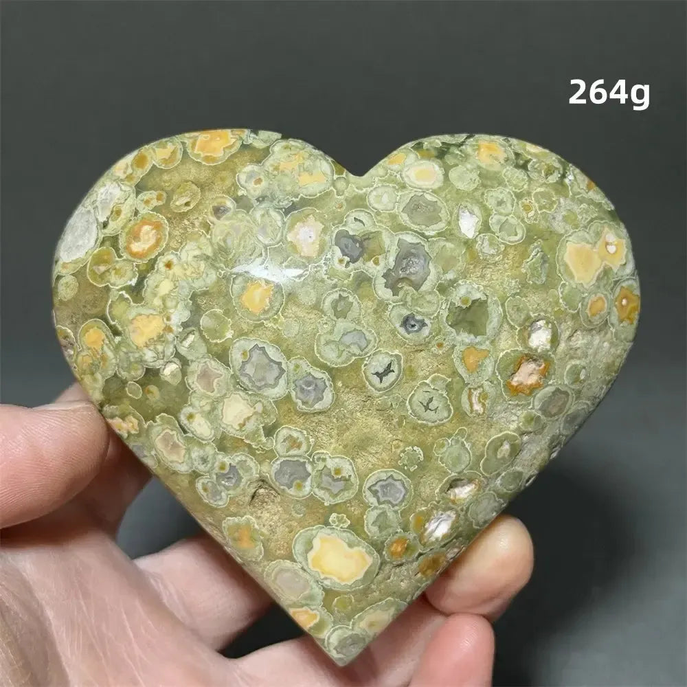 Rainforest Jasper Heart Healing Crystal-Hearts-Ali-Rainforest Jasper-13 264g-Crystal Destiny