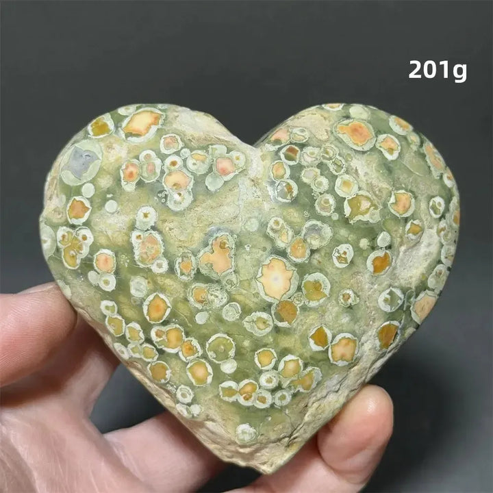 Rainforest Jasper Heart Healing Crystal-Hearts-Ali-Rainforest Jasper-14 201g-Crystal Destiny