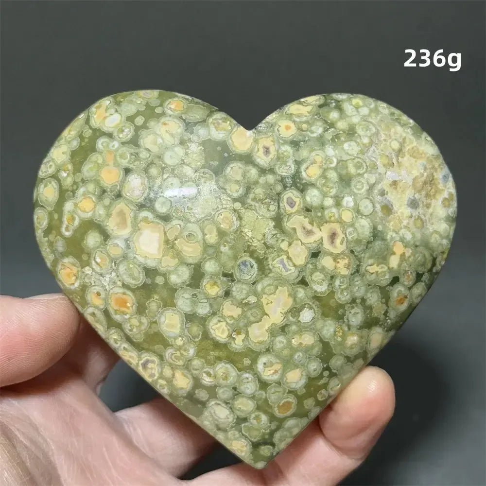 Rainforest Jasper Heart Healing Crystal-Hearts-Ali-Rainforest Jasper-19 236g-Crystal Destiny
