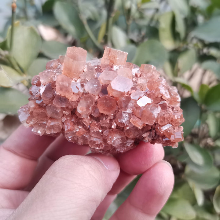 Rare Large Aragonite Cluster