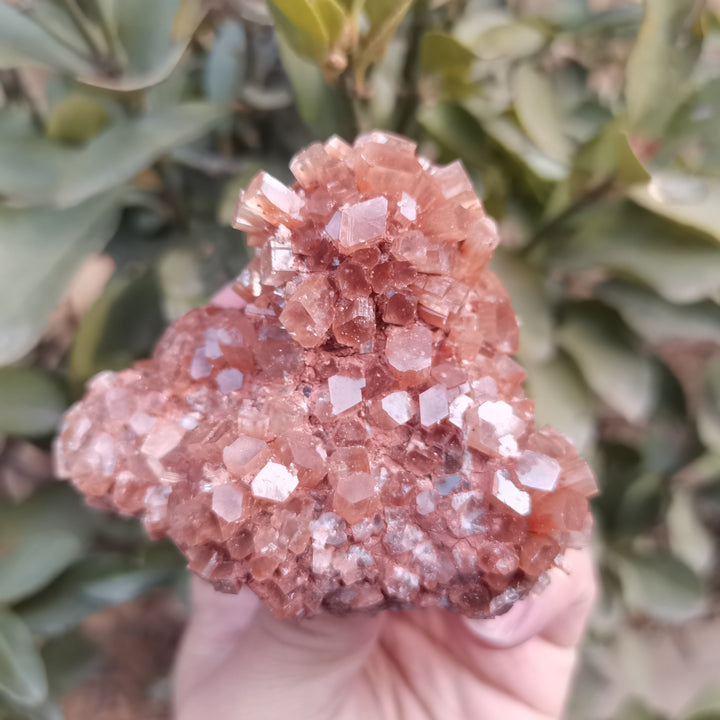 Rare Large Aragonite Cluster