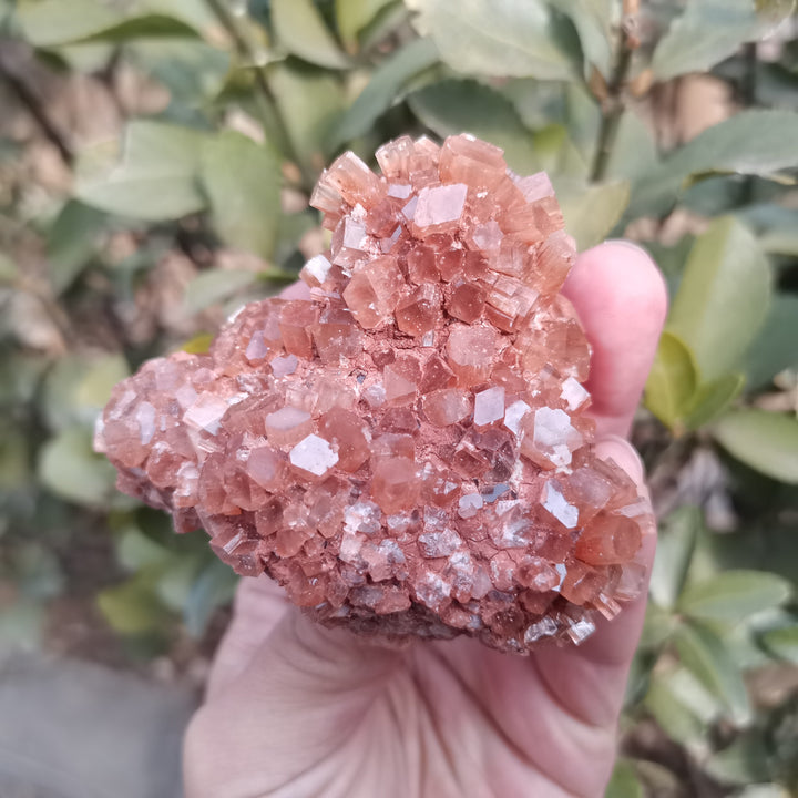 Rare Large Aragonite Cluster