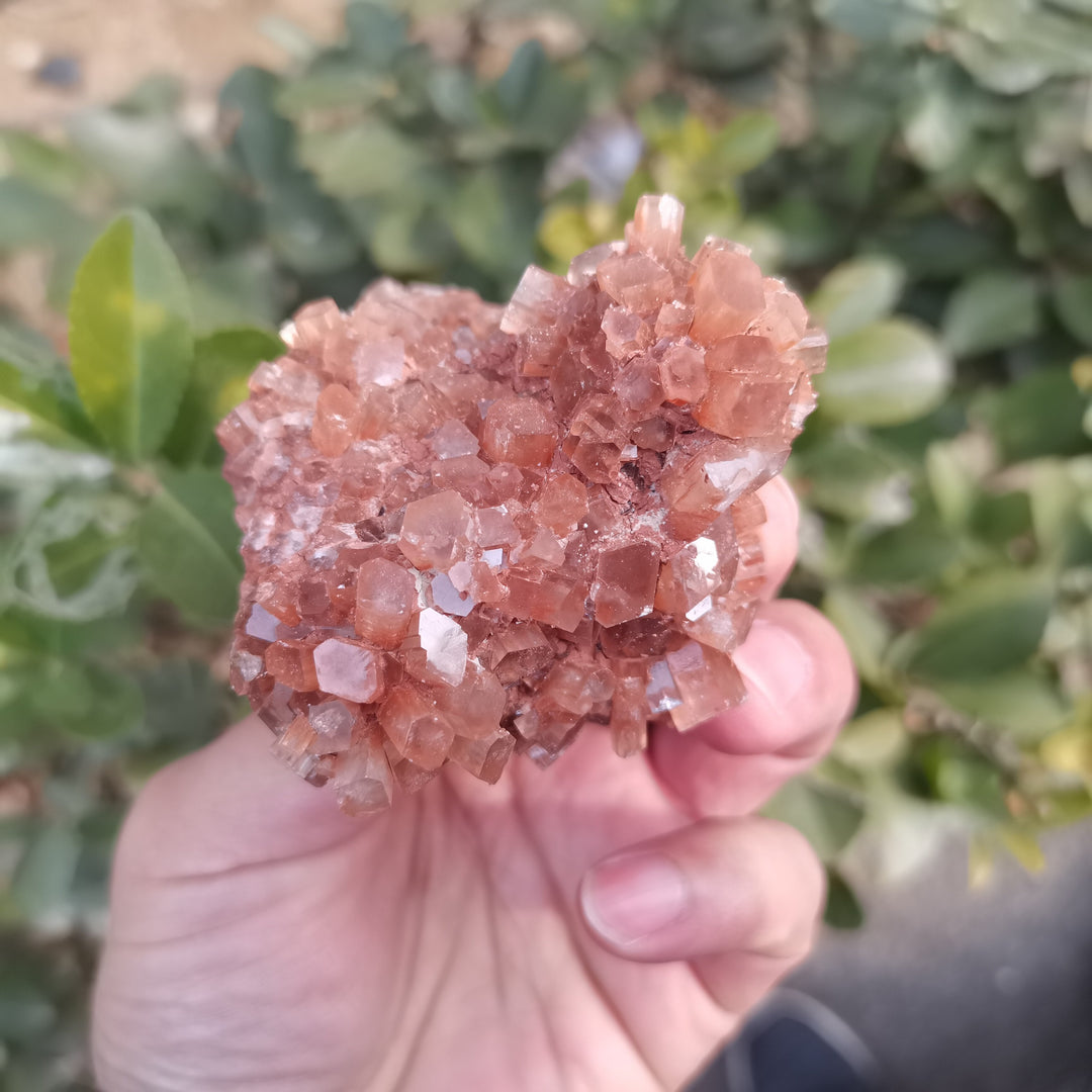 Rare Large Aragonite Cluster