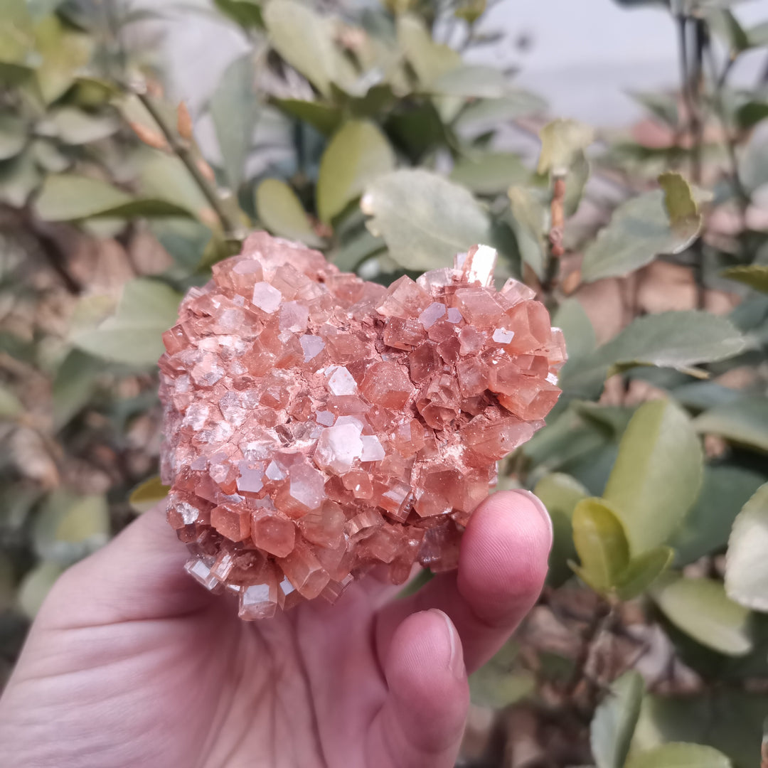 Rare Large Aragonite Cluster