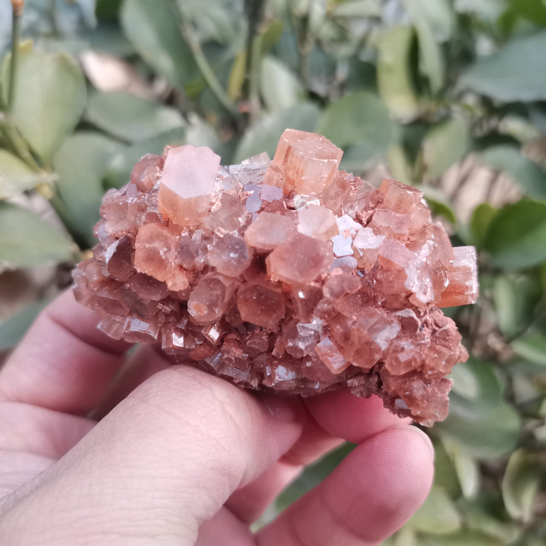 Rare Large Aragonite Cluster