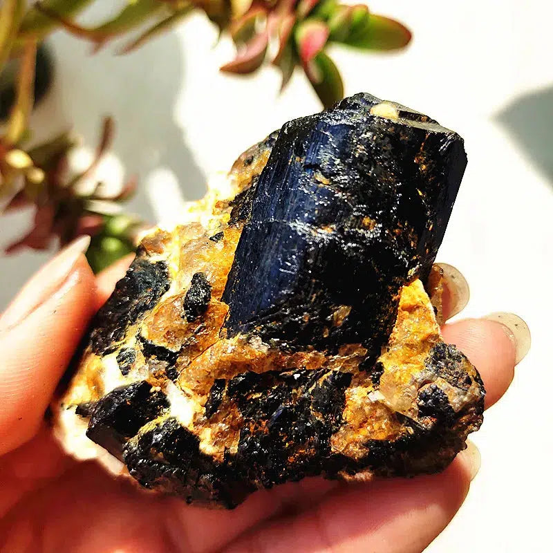 Raw Black Tourmaline Crystal on Host Matrix