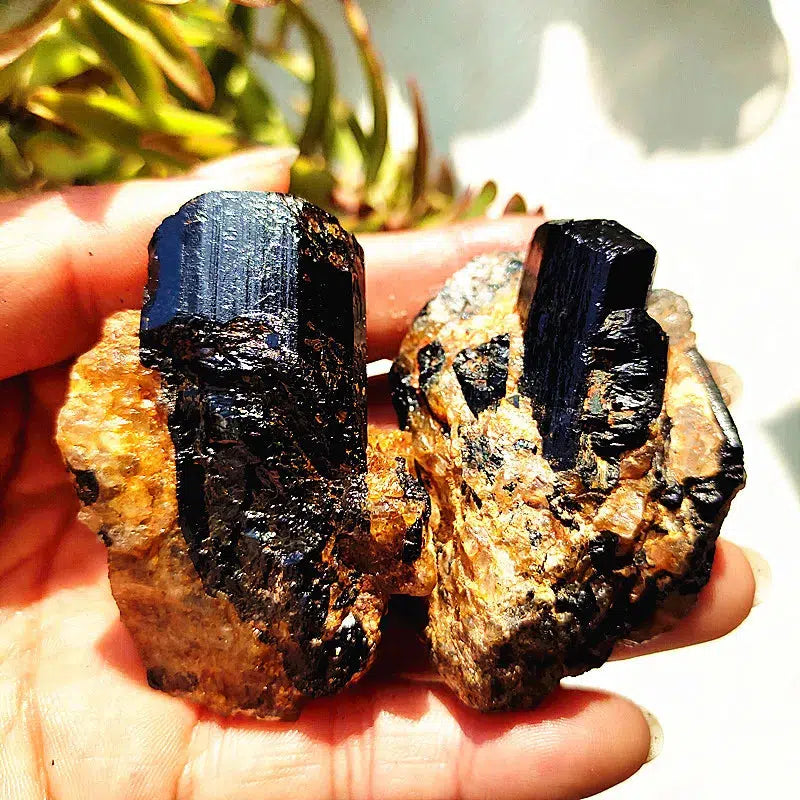 Raw Black Tourmaline Crystal on Host Matrix