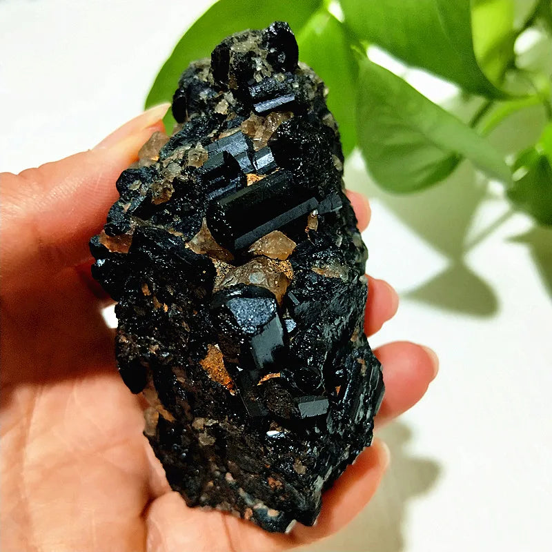 Raw Black Tourmaline Crystal on Host Matrix