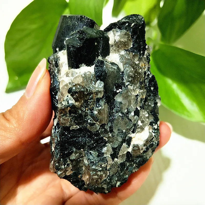 Raw Black Tourmaline Crystal on Host Matrix