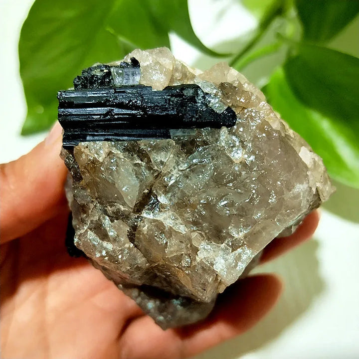 Raw Black Tourmaline Crystal on Host Matrix