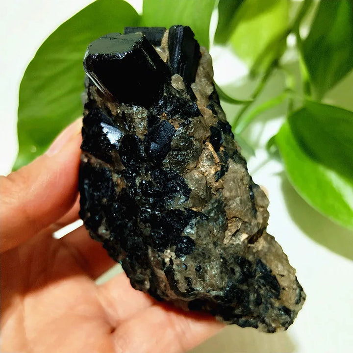 Raw Black Tourmaline Crystal on Host Matrix