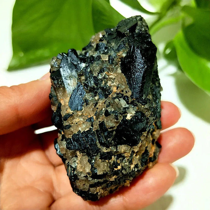 Raw Black Tourmaline Crystal on Host Matrix