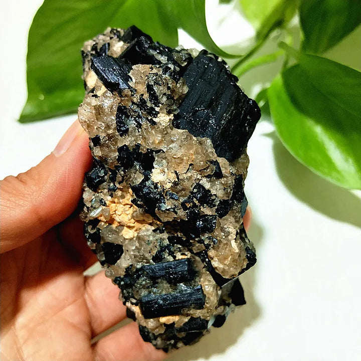 Raw Black Tourmaline Crystal on Host Matrix