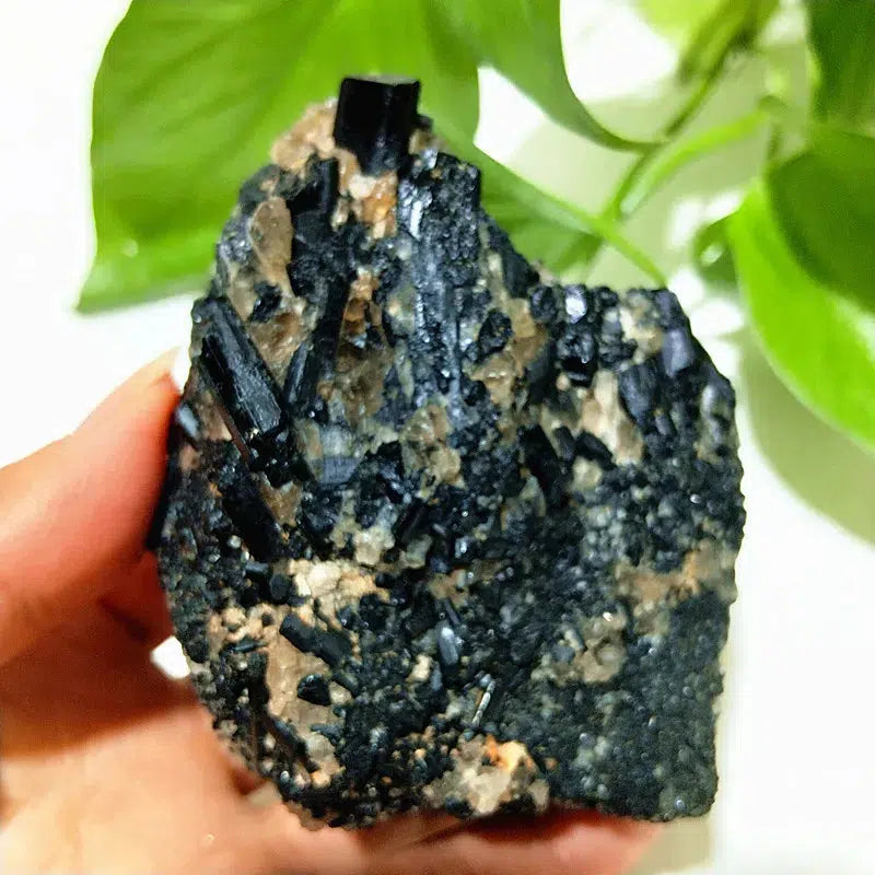 Raw Black Tourmaline Crystal on Host Matrix