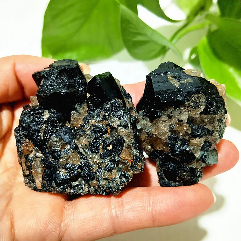 Raw Black Tourmaline Crystal on Host Matrix