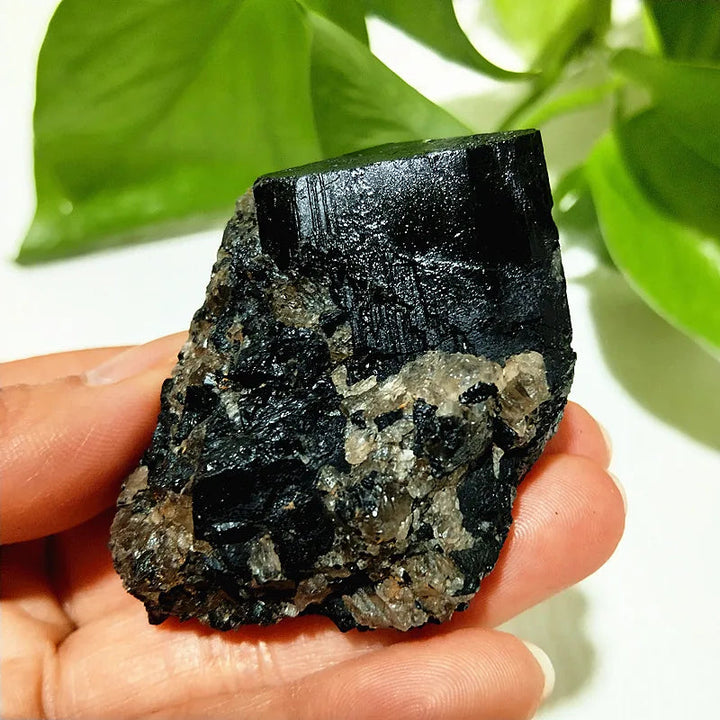 Raw Black Tourmaline Crystal on Host Matrix