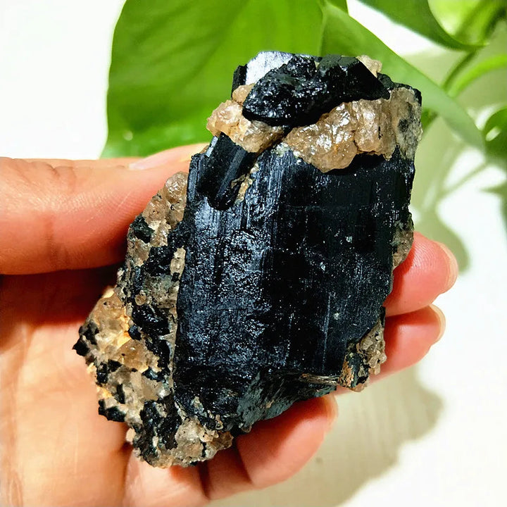 Raw Black Tourmaline Crystal on Host Matrix