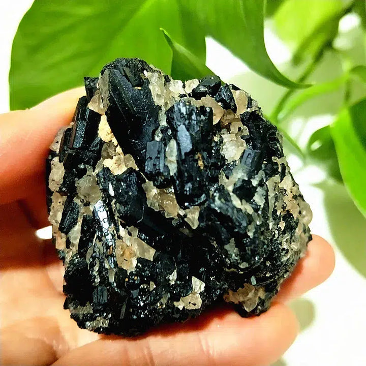 Raw Black Tourmaline Crystal on Host Matrix