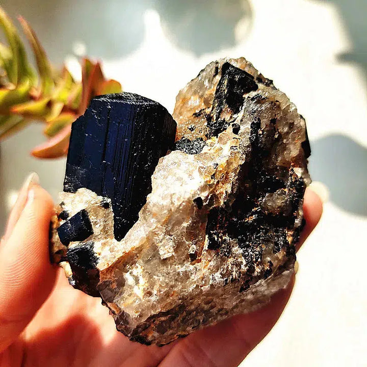 Raw Black Tourmaline Crystal on Host Matrix