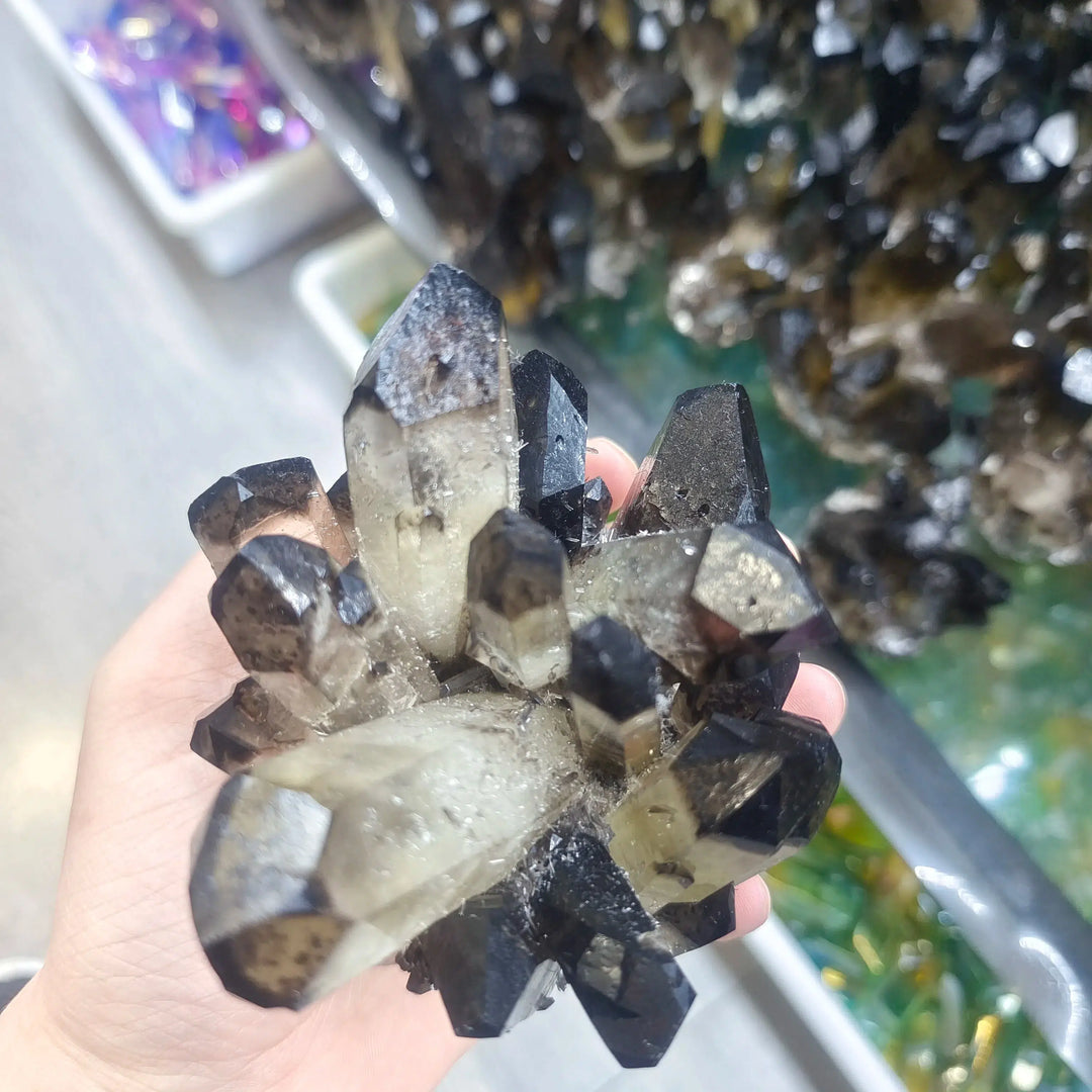 Black Smokey Quartz Crystal Cluster