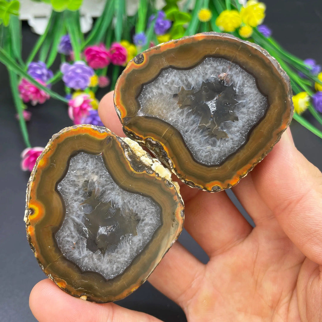 Sardonyx Agate Geode