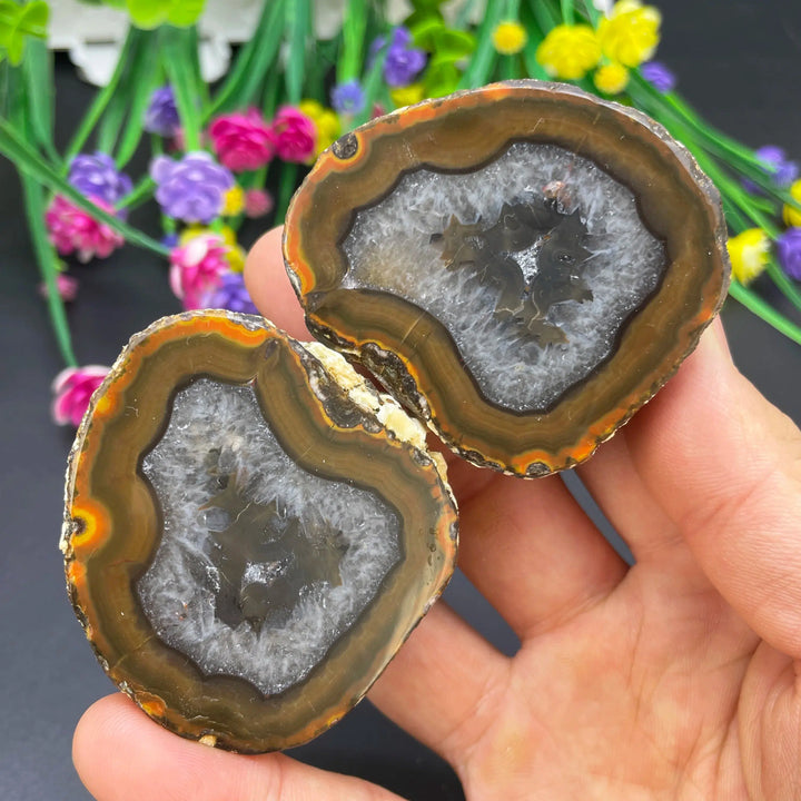 Sardonyx Agate Geode