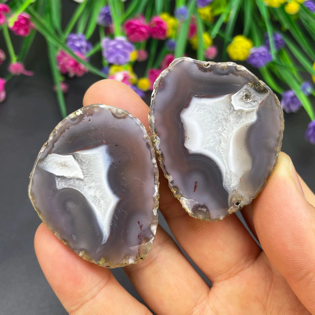 Sardonyx Agate Geode