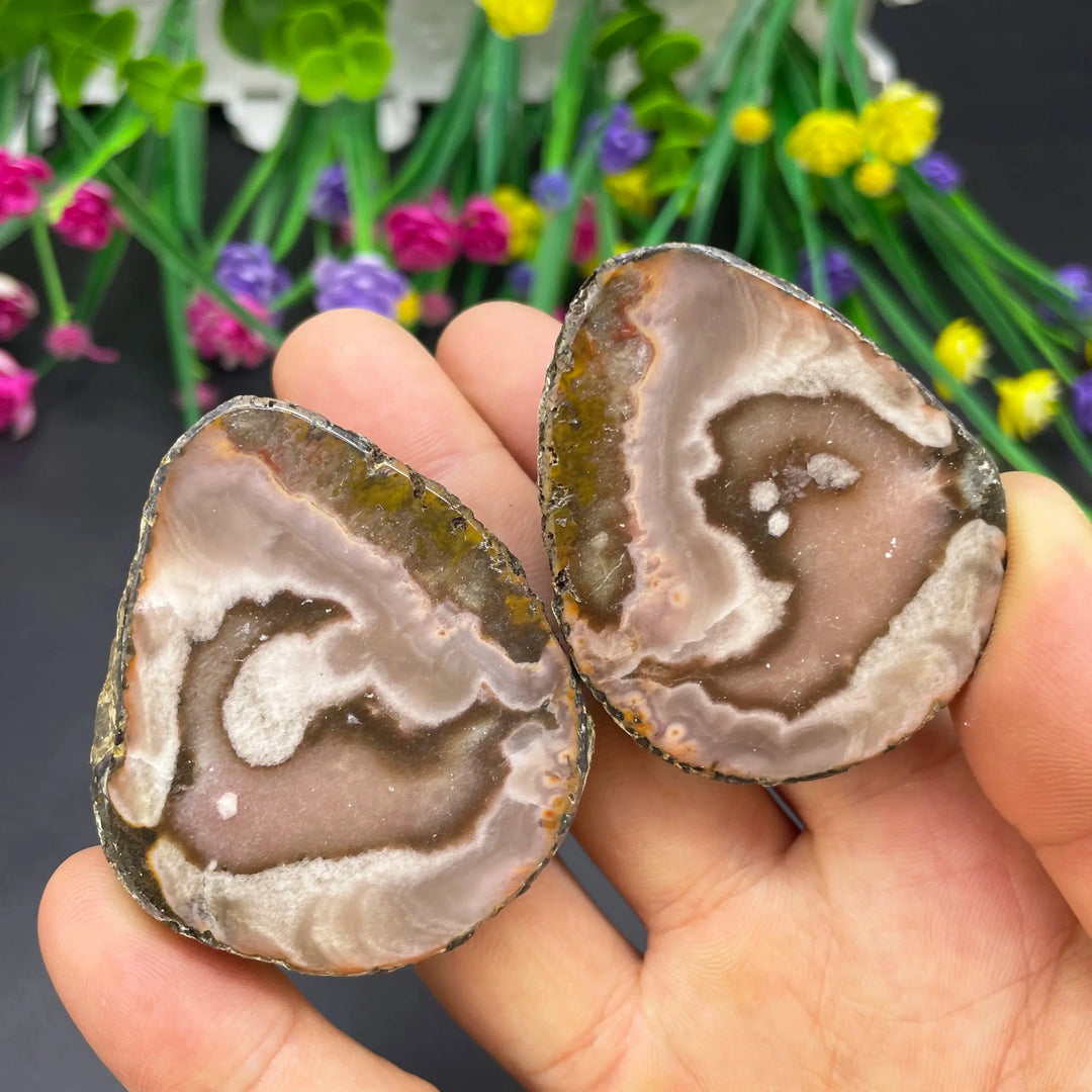 Sardonyx Agate Geode