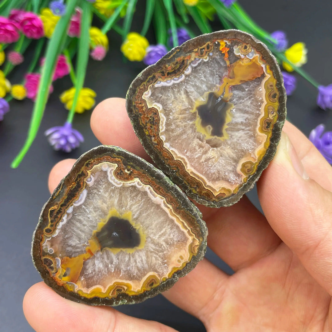 Sardonyx Agate Geode