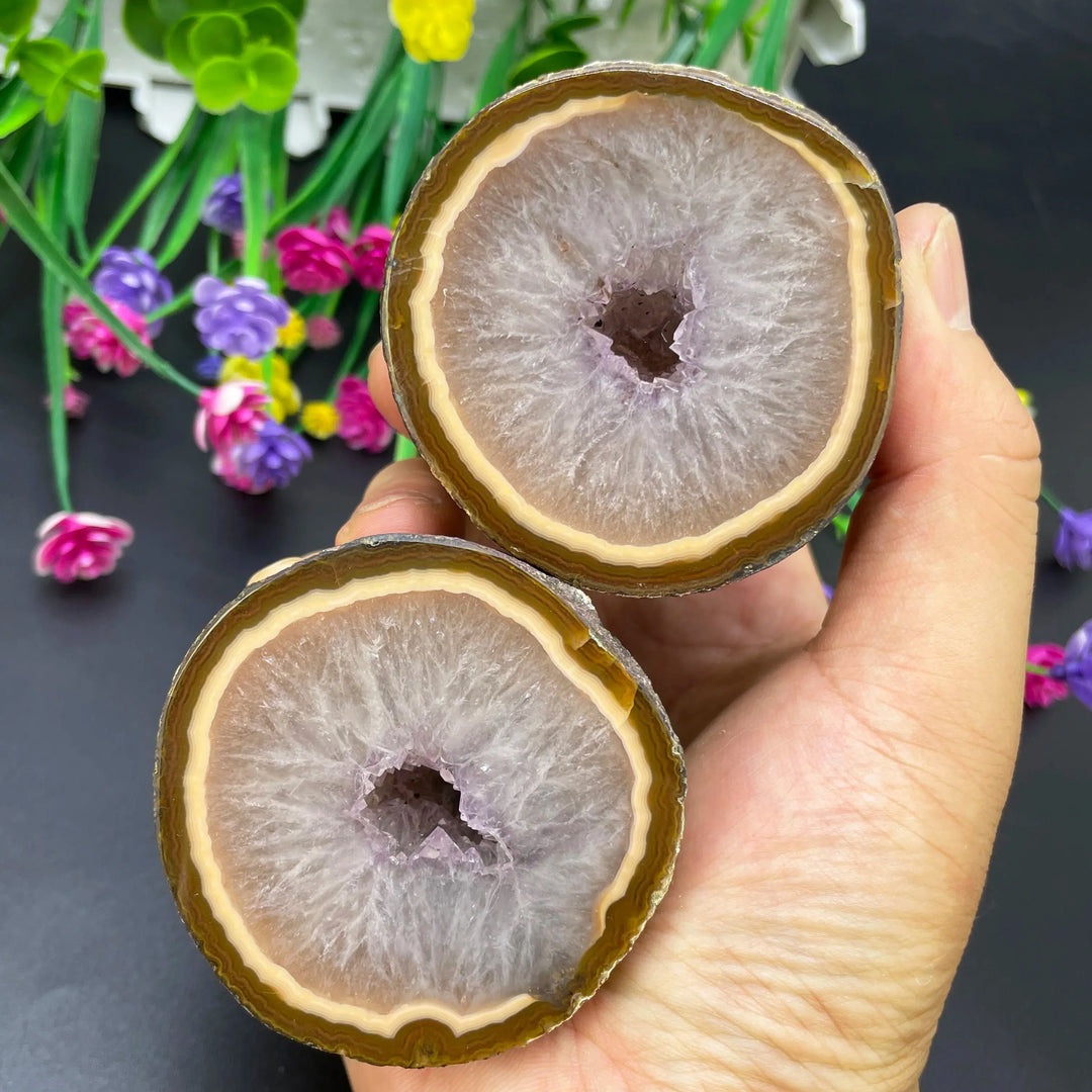 Sardonyx Agate Geode