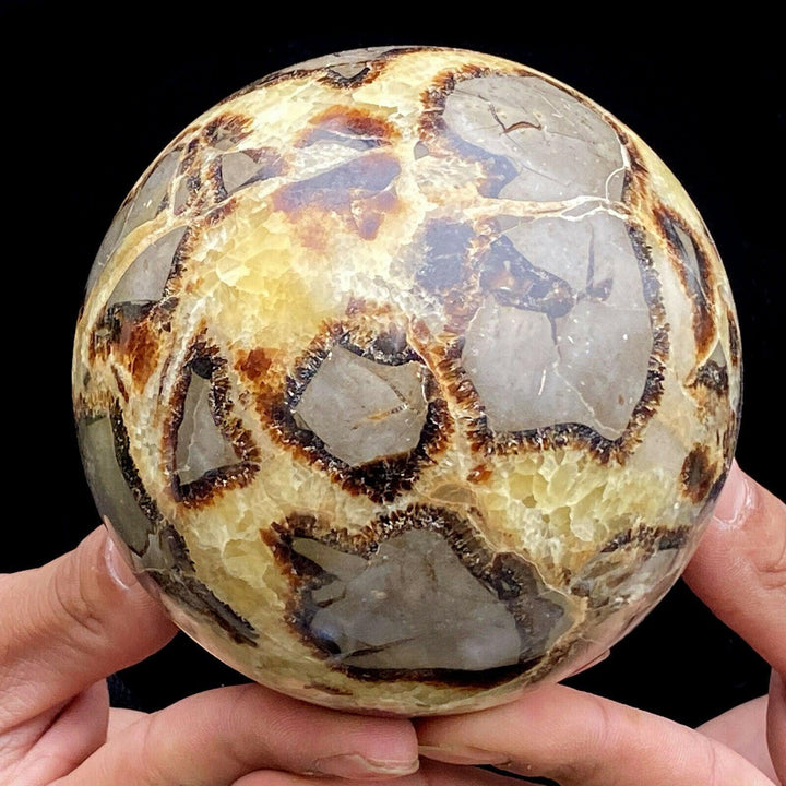 Septarian Clay and Calcite Sphere