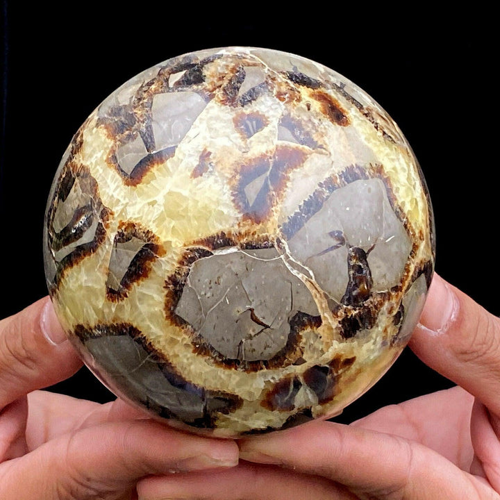 Septarian Clay and Calcite Sphere