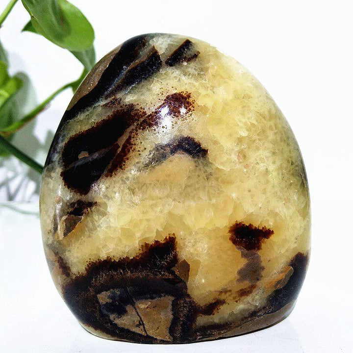 Septarian Crystal Freeform