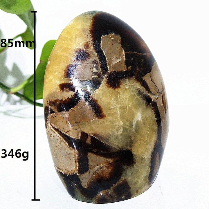 Septarian Crystal Freeform