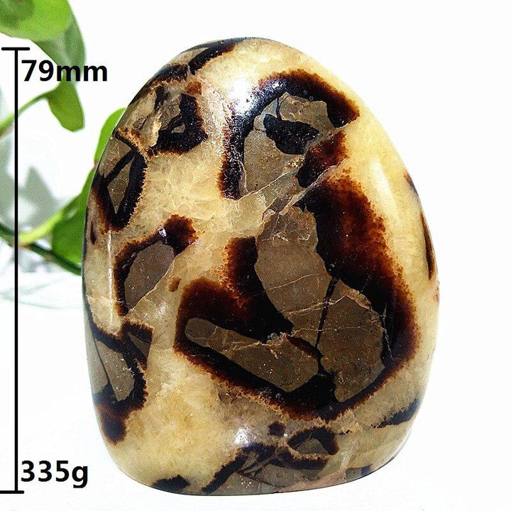 Septarian Crystal Freeform