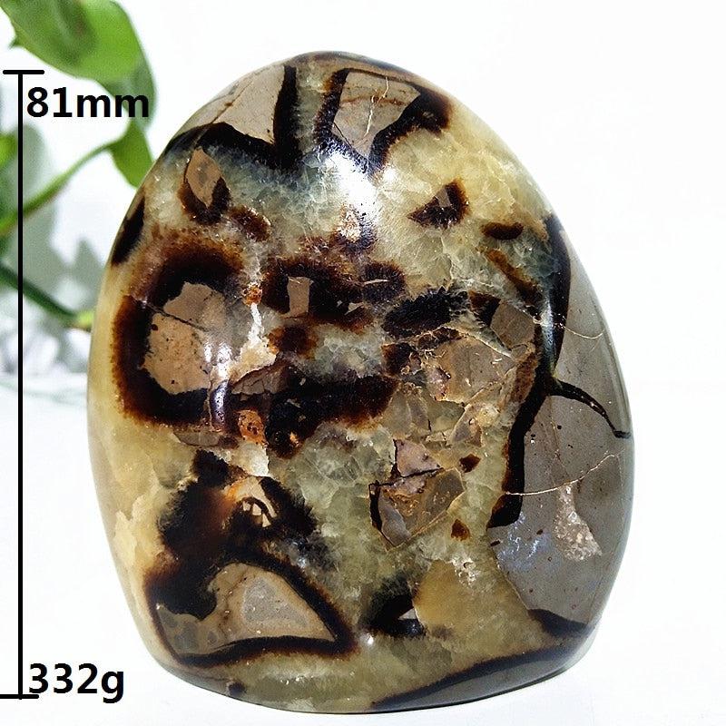 Septarian Crystal Freeform