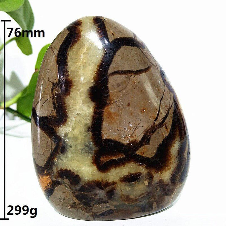 Septarian Crystal Freeform