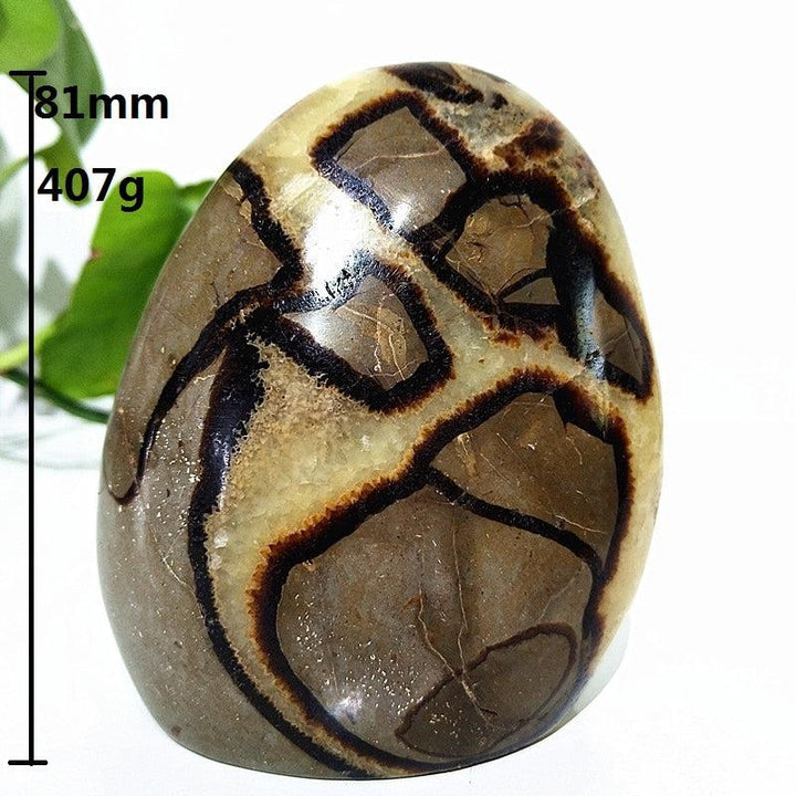 Septarian Crystal Freeform