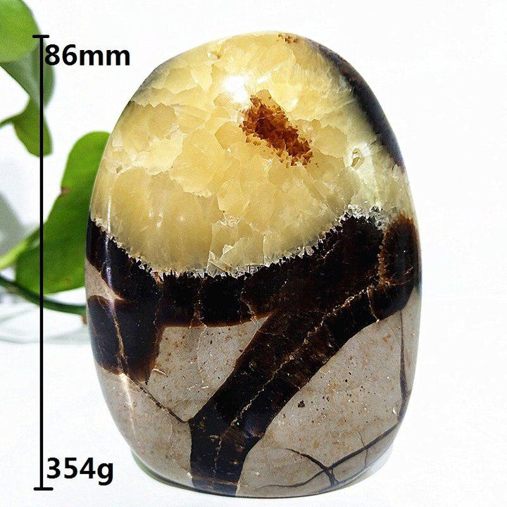 Septarian Crystal Freeform