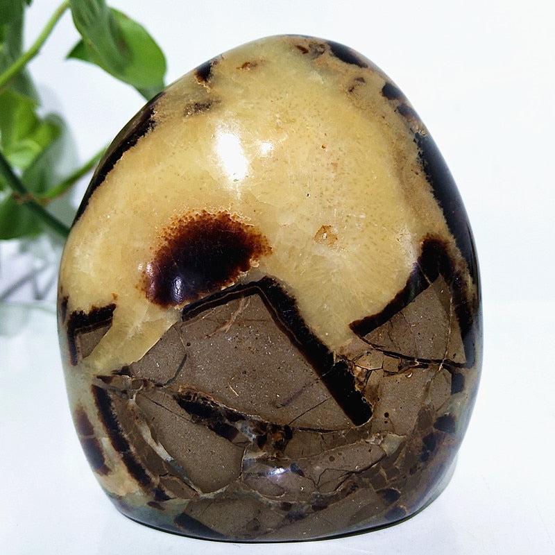 Septarian Crystal Freeform