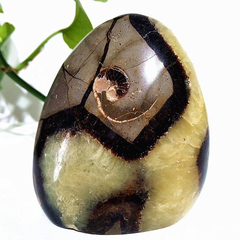 Septarian Egg Crystal Freeform