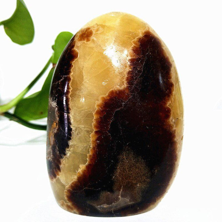 Septarian Egg Crystal Freeform