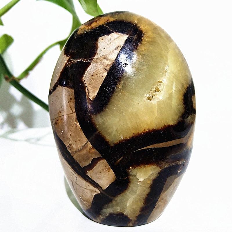 Septarian Egg Crystal Freeform