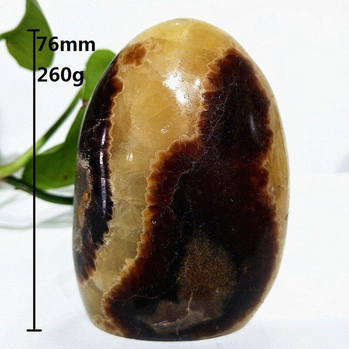 Septarian Egg Crystal Freeform