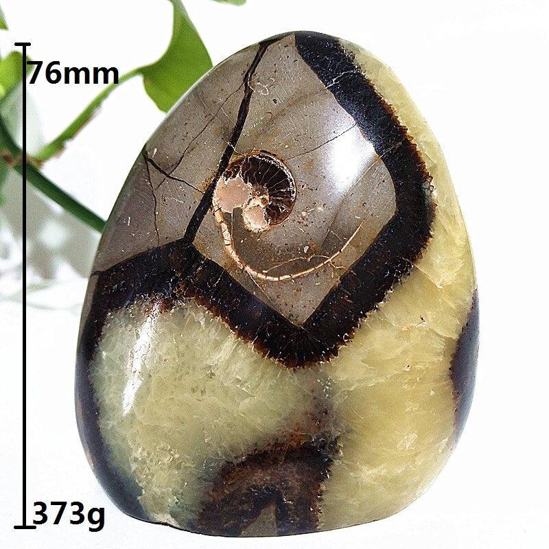 Septarian Egg Crystal Freeform