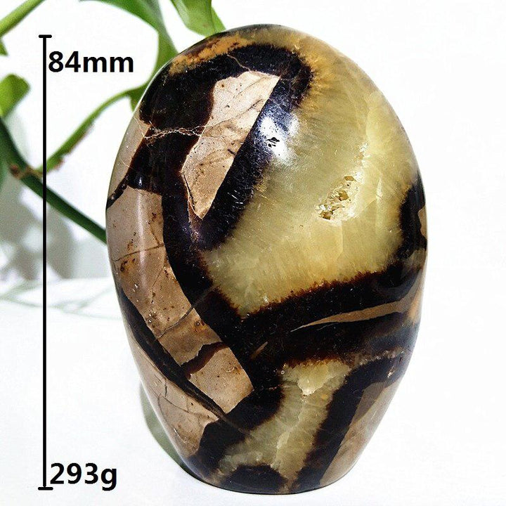 Septarian Egg Crystal Freeform