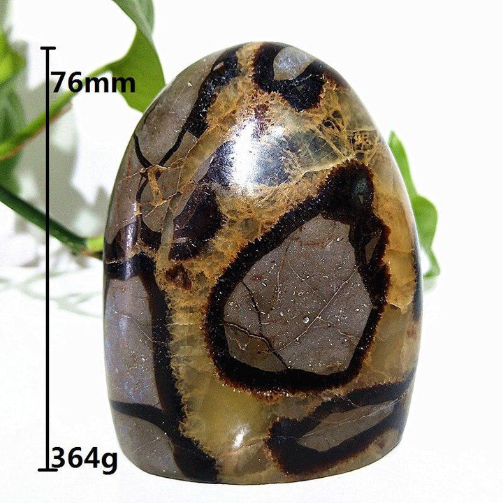 Septarian Egg Crystal Freeform