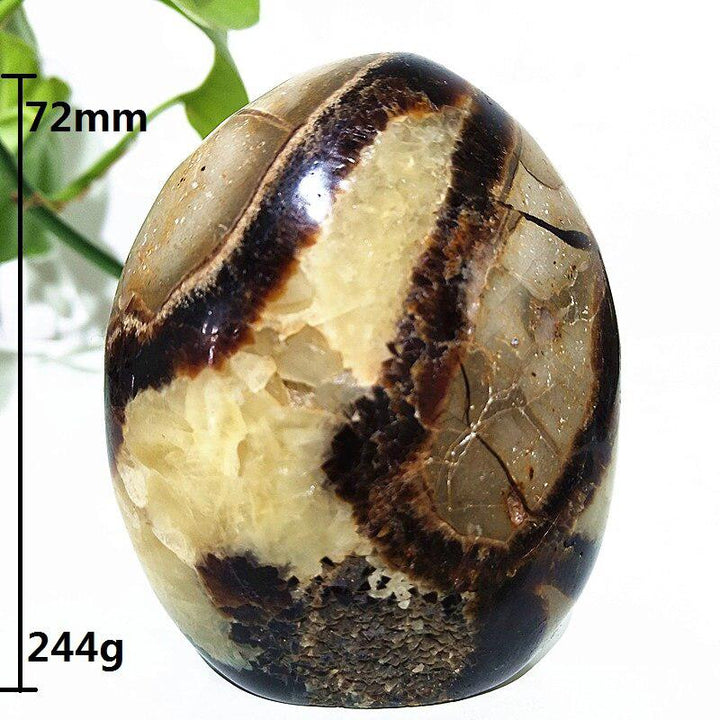 Septarian Egg Crystal Freeform