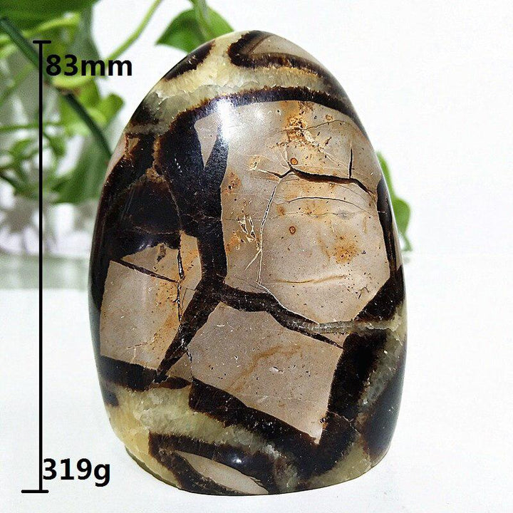 Septarian Egg Crystal Freeform